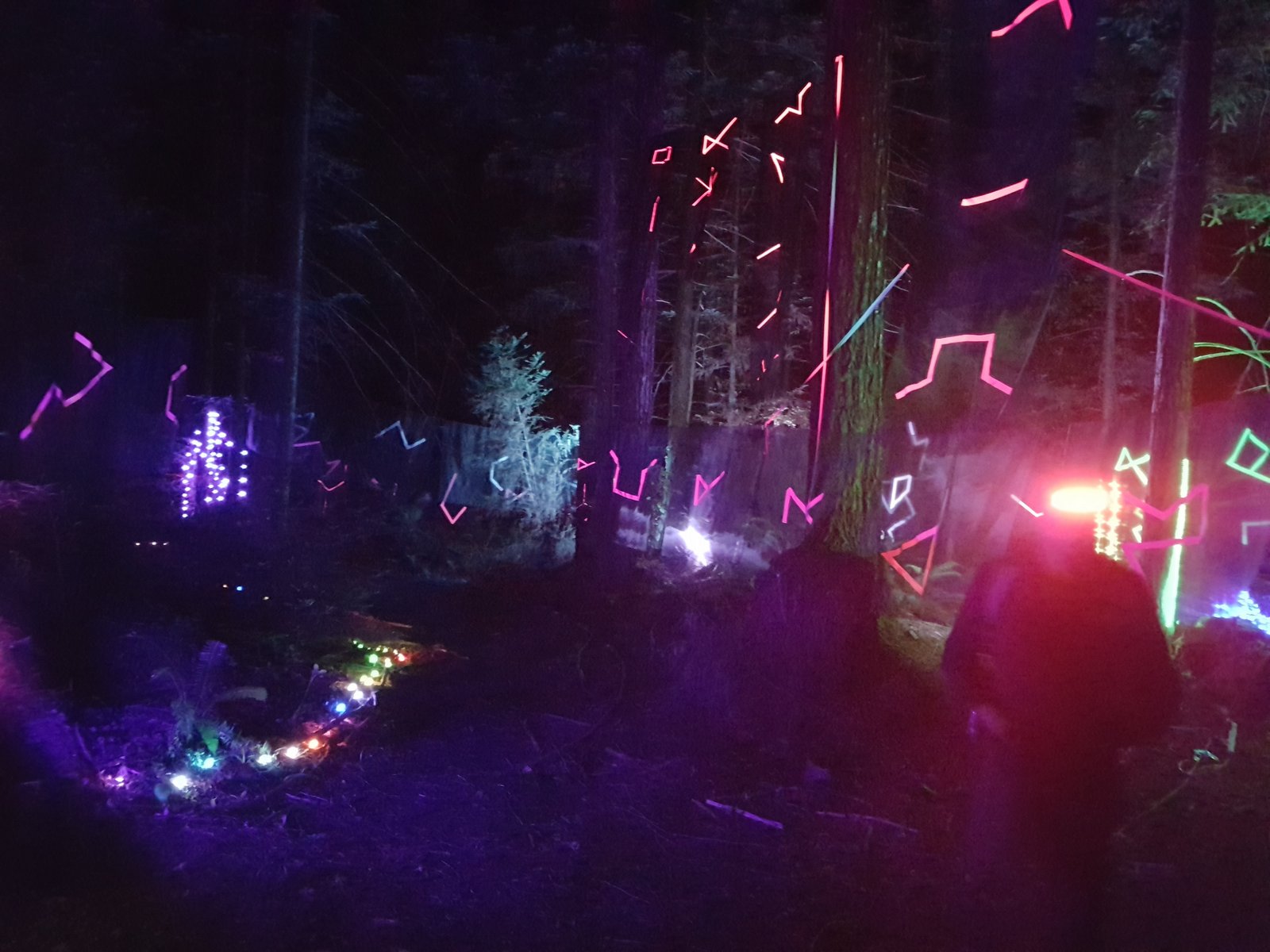 Camp Navarro: The glyph forest